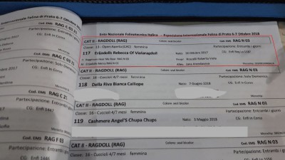 catalogo.jpg