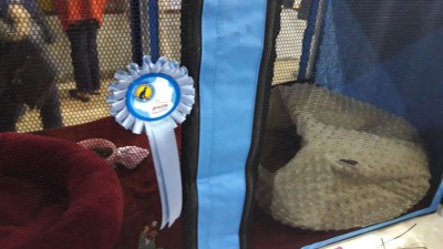 IMG-20181006-WA0021.jpeg