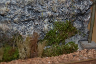 105-vegetazione.JPG