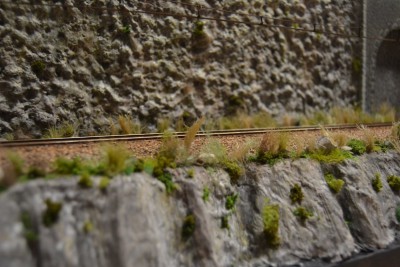 109-diorama.JPG
