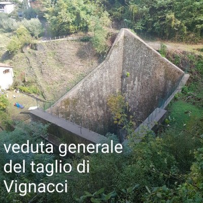 8 IL TAGLIO DI VIGNACCI.jpg