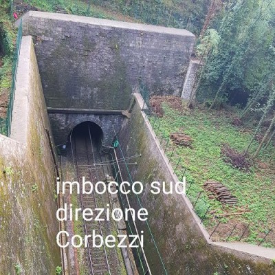7 IL TAGLIO DEL CASTAGNO 3.jpg