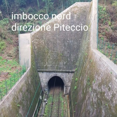 6 IL TAGLIO DEL CASTAGNO 2.jpg