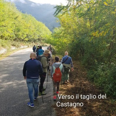 3 IN CAMMINO.jpg