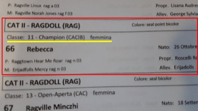 libro-1.jpg