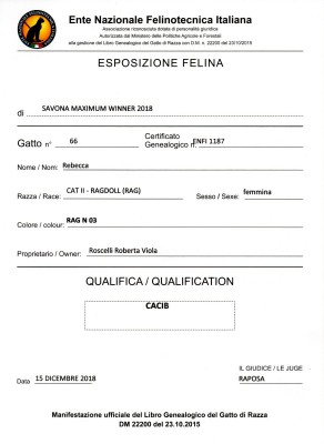 rebecca-cacib-2.jpg