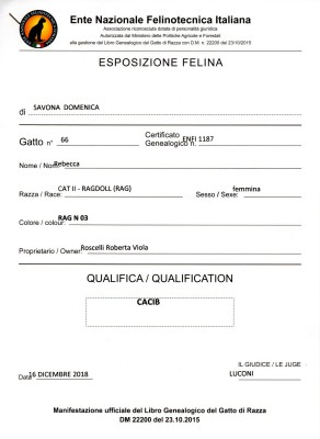 rebecca-cacib-3.jpg