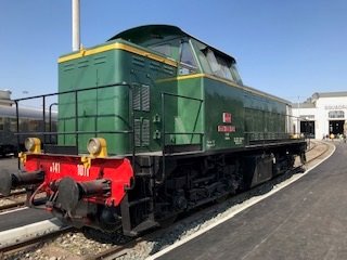 D141