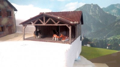 IMG_20190510_171358.jpg