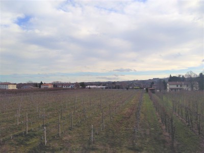 Panorama nei pressi di Brisighella