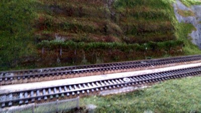 IMG_20200314_144505.jpg