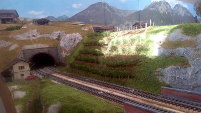 IMG_20200316_135148.jpg