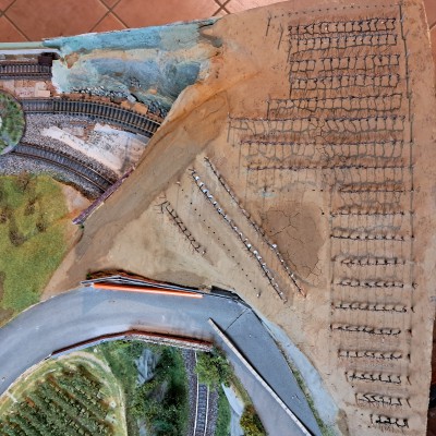 Piantumazione filari