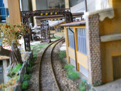 DSCN9565.JPG