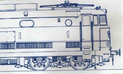 disegno muso 444.jpg