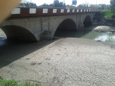 Ponte di Sorbolo.jpg