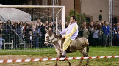asino calciatore.jpg
