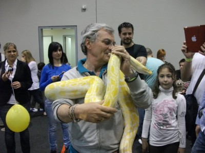 Pitone Albino
