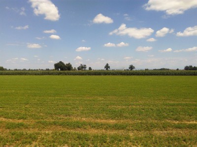 Panorama nei pressi di Vescovato