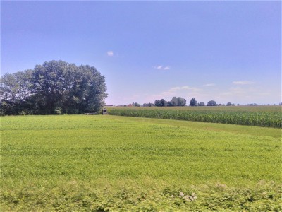 Paesaggio nei pressi di Canneto sull'Oglio (MN).