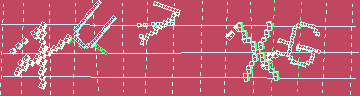 Codice di conferma