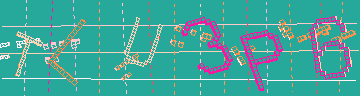 Codice di conferma