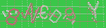 Codice di conferma