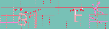 Codice di conferma
