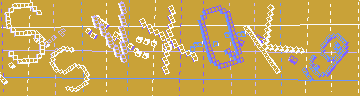 Codice di conferma