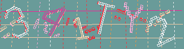 Codice di conferma