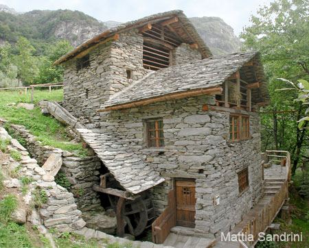 Immagine