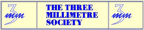 Associazione 3mm Society