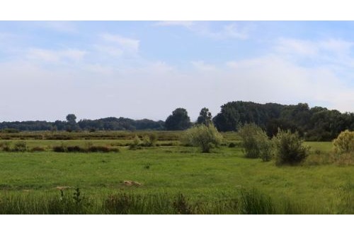 Elriwa Art. M6-H55-A