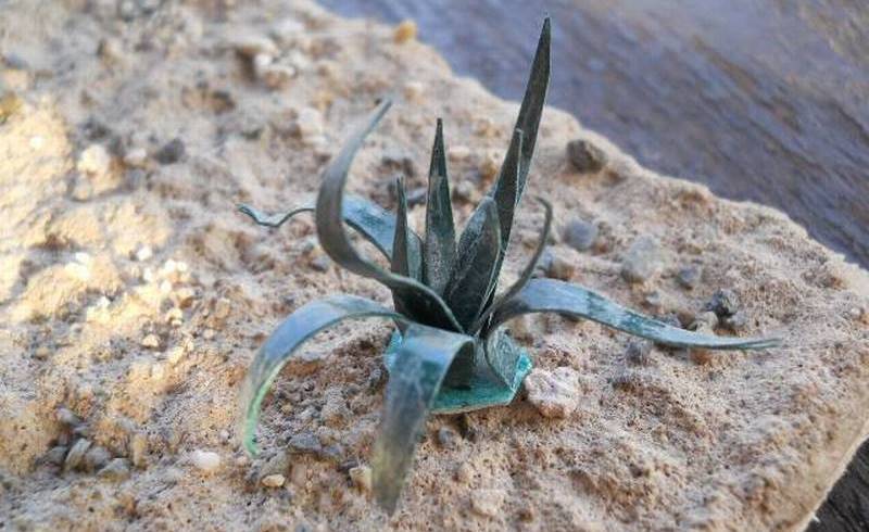 Agave autocostruita in cartoncino