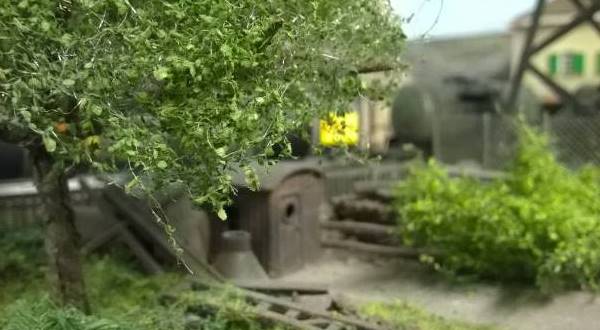 Alberi e cespugli