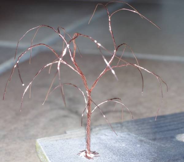 Struttura