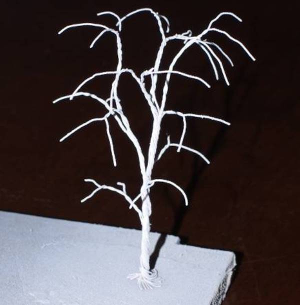 Struttura