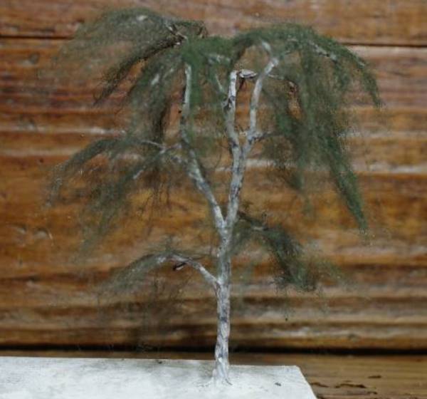Struttura