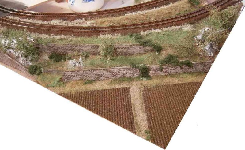 Campo arato