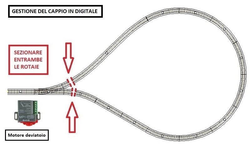 Schema sezionamento cappio