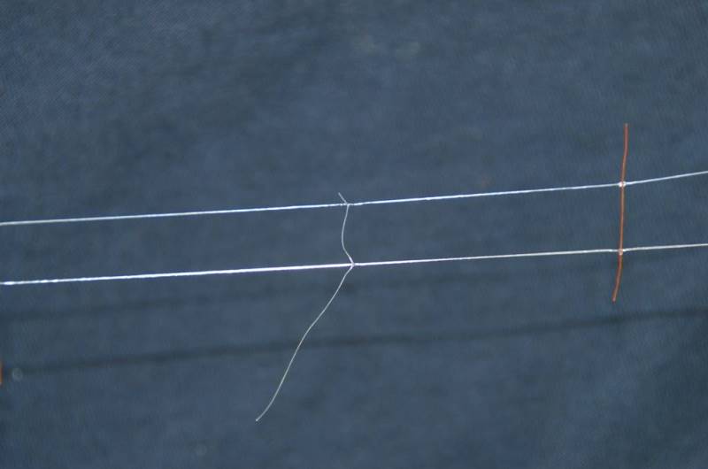 Catenaria