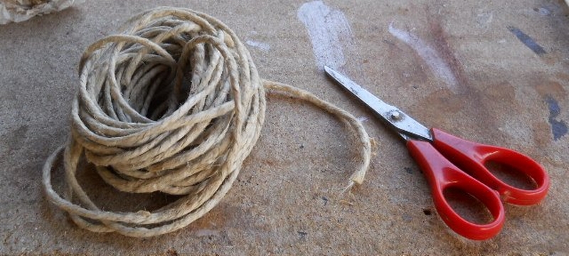 Cespugli secchi