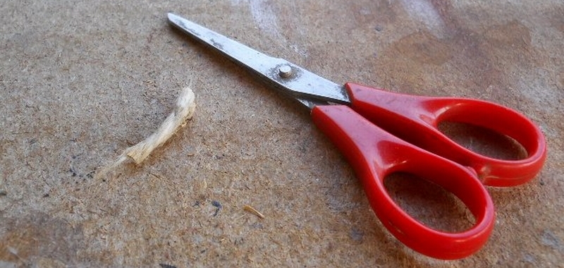 Cespugli secchi