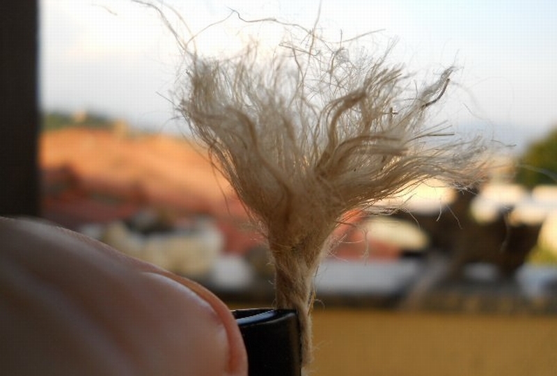 Cespugli secchi