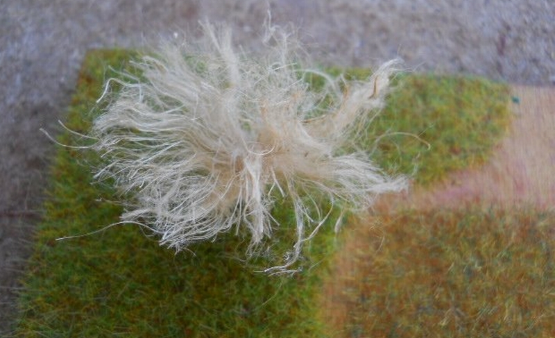 Cespugli secchi
