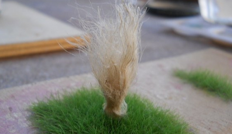 Cespugli secchi