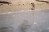 GAS TT - Mare con un fondale realistico