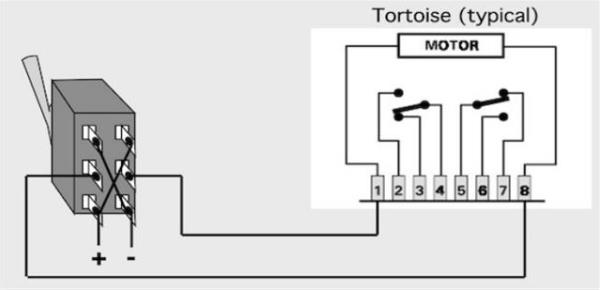 Cablaggio Motore Circuitron Tortoise