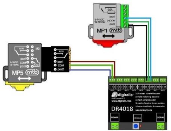 Cablaggio Motor1 MTB MP1 e MP5