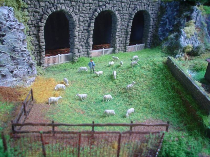 Pascolo verde